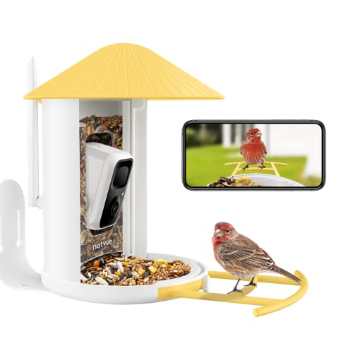 NETVUE Birdfy Lite smart bird feeder camera
